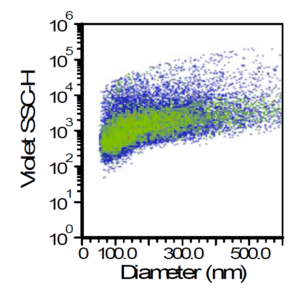 Vesicles (Green) vs all scatter events shows a large number of irrelevant particles such as lipoproteins or protein aggregates are detected using scatter.