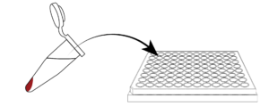 Vesicle Sample Graphic