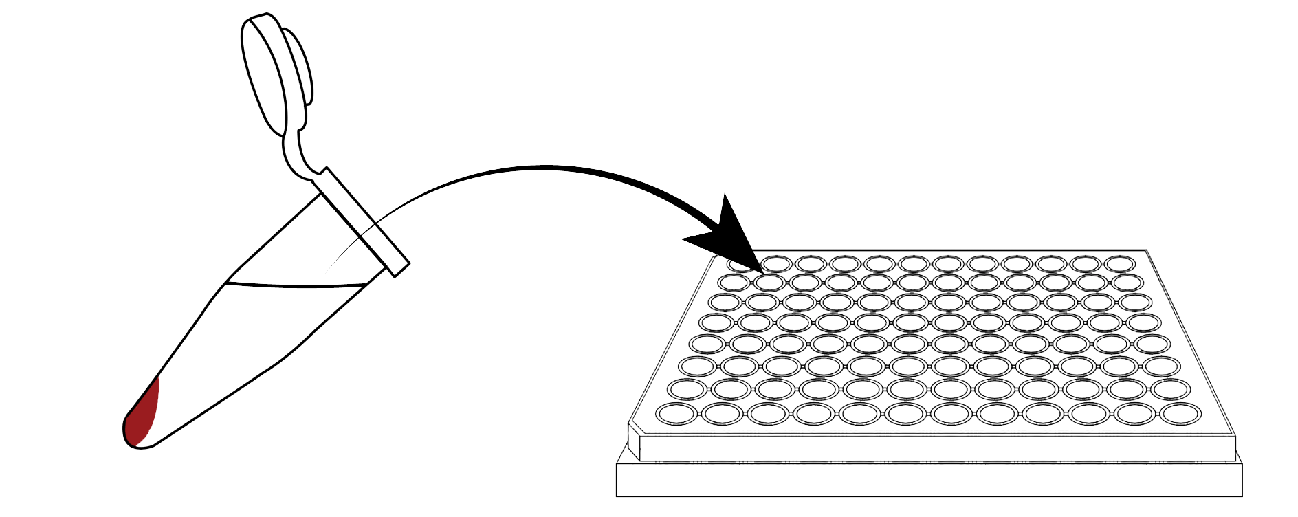 Vesicle Sample Graphic